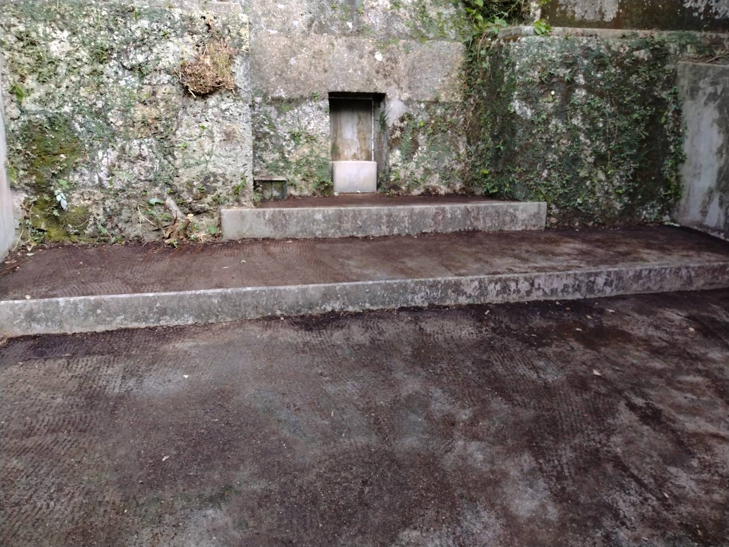 改葬・墓じまいの事例