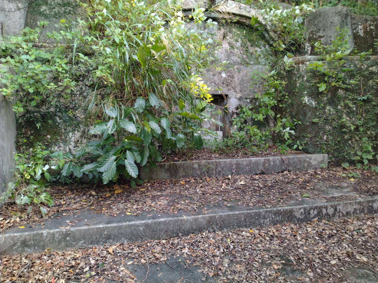 改葬・墓じまいの事例